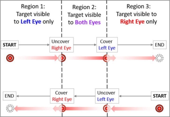 Illustration of the cover test in a 3D screen that was divided into 3 regions: the left where only left eye could see the target, the center where both eyes could view the target, and right portion where only right eye could see the target. When a fixation target moves across two boundaries between regions, the cover or uncover effect was produced as indicated.