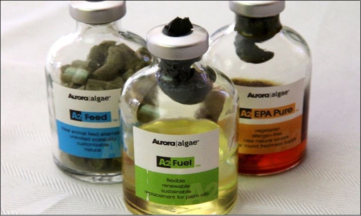 The finished products. Protien pellets on the left, bio-diesel in the middle and omega 3 oil on the right.(Aurora algae) 141