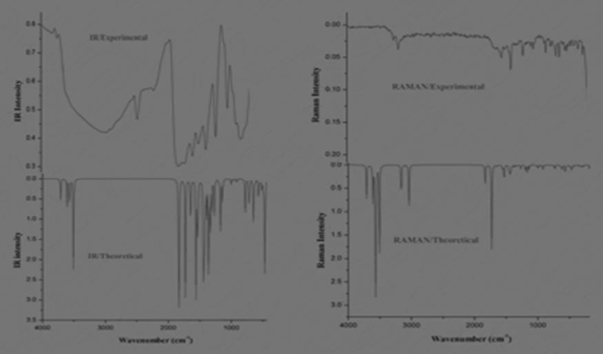 Experimental and Theoretical IR and Raman spectra of OTTHPYHCT