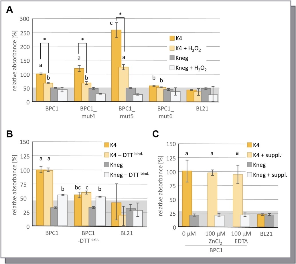 Binding capacity of BPC1 under oxidizing or reducing buffer conditions. Specific binding of 6xHis-epitope tagged BPC1 to positive (K4) or negative (Kneg) dsDNA-probes in DPI-ELISA experiments. The histogram bars show normalized signal intensities and error bars represent one standard deviation. Grey background shading indicates level of confidence for significant binding (t-test p < 0.05). The bars annotated with the same letter are not significantly different. (A) Binding capacity under oxidizing conditions. Protein dilution buffer was supplemented with 5% (v/v) H2O2 immediately before the experiment. Asterisks indicate a significant decrease of binding (t-test p < 0.001) by ~ 45%. (B) Analysis of reducing capacity of DTT on DNA-binding. The amount of 5 mM DTT was reduced to 0 mM DTT in the protein extraction buffer (DTTextr.) or the protein dilution buffer (DTTbind.) or in both of the buffers. (C) Effect of 100µM ZnCl2 or 100µM EDTA supplements on DNA-binding.