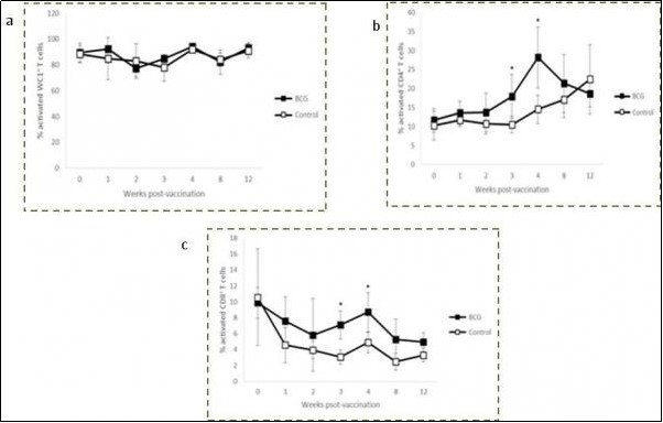 Kinetics of WC1+ (a), CD4+ (b) and CD8+ (c) activated (CD25⁺) T cells in M. bovis CFPE-stimulated peripheral blood of BCG Phipps-vaccinated and control calves. Each square represents the group mean ± SD of the group. * Statistically significant difference (P < 0.05).