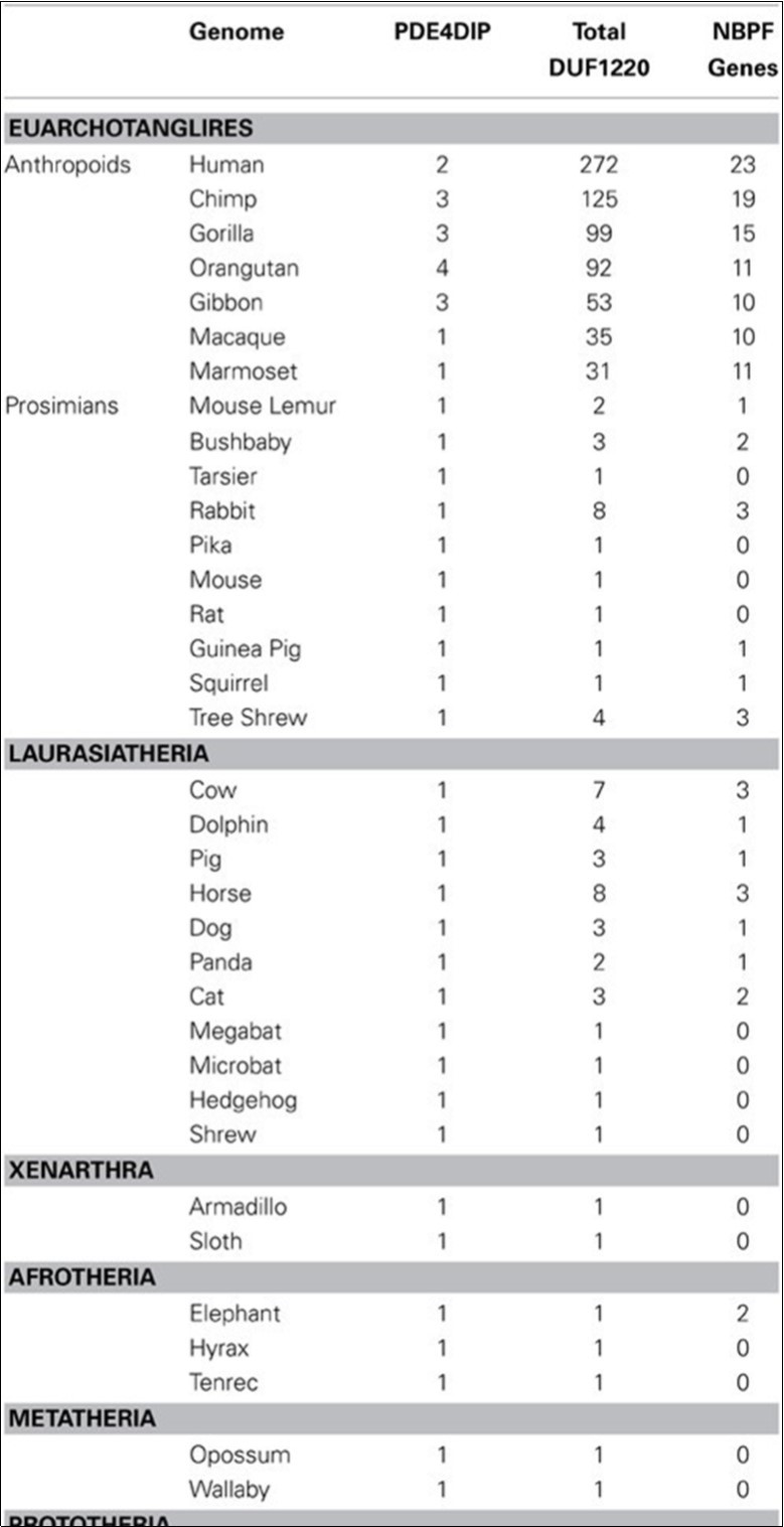The distribution of DUF1220 and NBPF gene populations in different mammalian species (6)