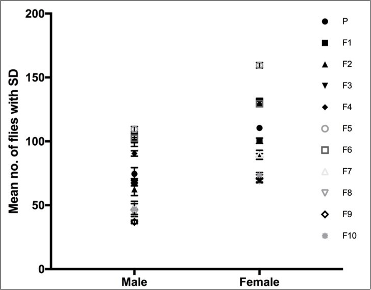 cve Female versus cve Male. A column graph showing the mean number of female and male flies in duplicates collected over ten generations in the upward selection line.
