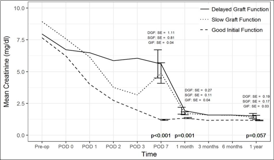 One Year Kidney Function