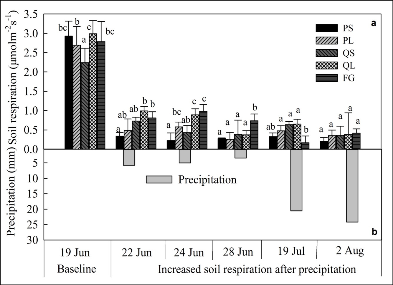 Soil respiration of baseline and corresponding increased values following precipitations for different size classes and canopy conditions (mean ± SE, n=4). Different lowercase letters indicate significant differences (P < 0.05) among different canopy cover conditions (PS, PL, QS, QL, and FG) for the same precipitation event. PS, PL, QS, QL, and FG represent P. armandii with small size class and large size class, Q. aliena with small size class and large size class, and forest gap, respectively.