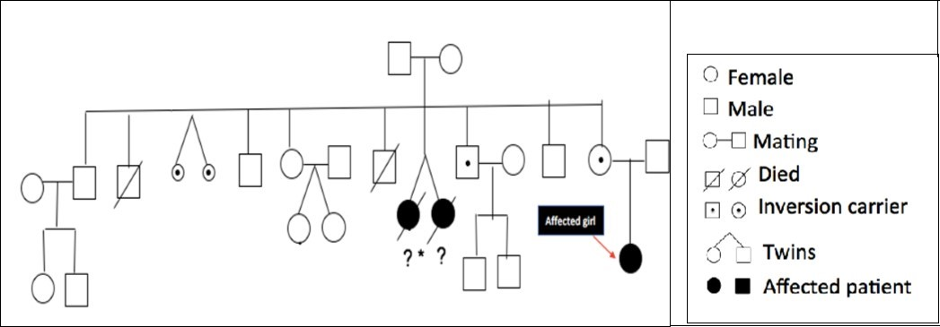 Maternal family pedigree.
