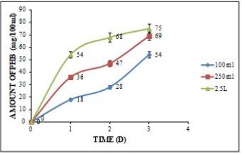 PHB yield of the bacterial strain NFKVG 8 from wastewater