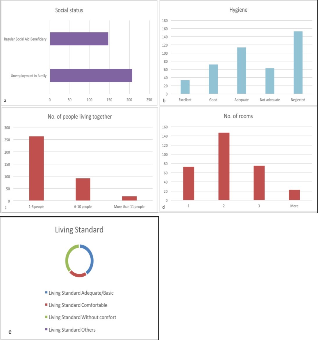 (a) Social status as to aid beneficiary or unemployment, (b) Patient Hygiene, (c) Living conditions-No. of people living together, (d) Number of rooms available in the patient’s house and (e) Patient’s standard of living.