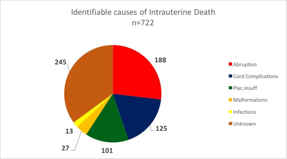 Identified causes of intrauterine deaths.