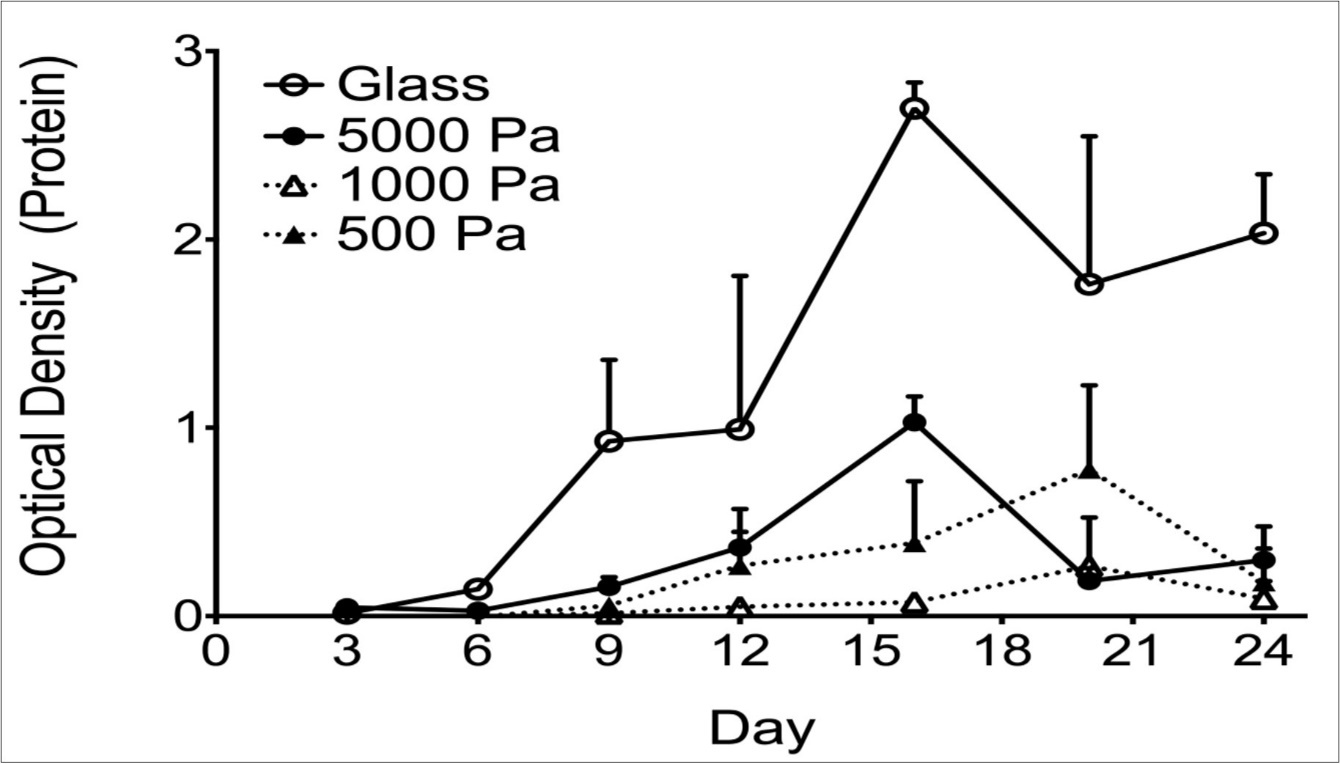Graph showing ELISA quantification of CTGF protein as a function of both time and substrate stiffness. CTGF expression reaches a maximum earlier (16 days in culture) on firmer substrates relative to 20 days for the softer substrates. Each point shows the mean of 3 biological replicates. Error bars denote the SEM. This finding is significant (two-way ANOVA: p <0.0001).