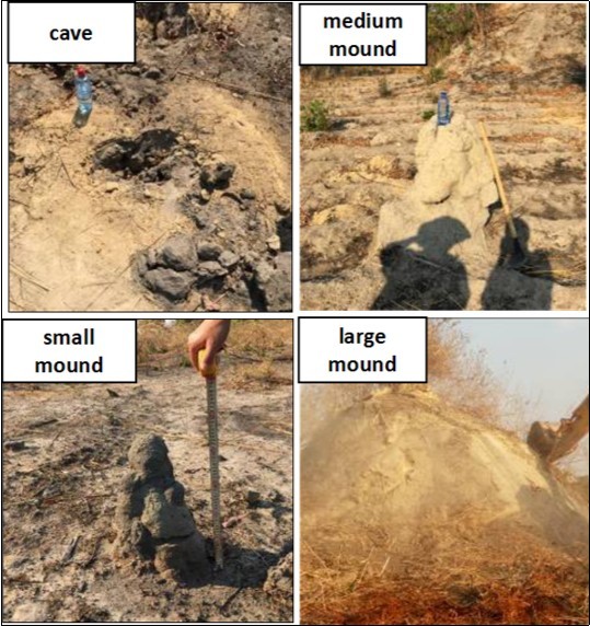 Classifying mounds of different sizes at the site