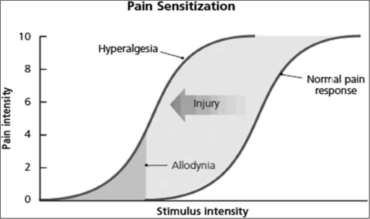 Noxious stimuli can sensitize the nervous system response to subsequent stimuli 37