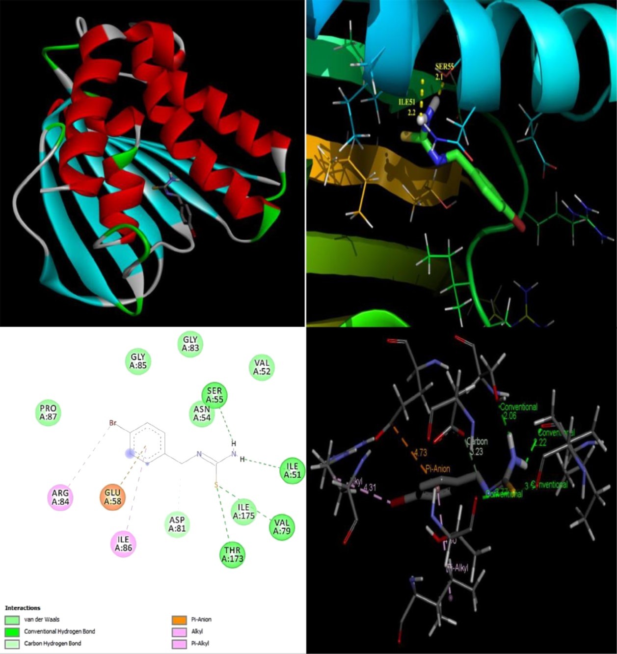 The binding poses and hydrogen bonding interactions of BBTU with 3U2D.