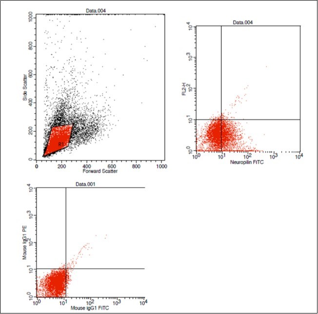 Dot plot showing negative control (left lower), ALL case with positive Neuropilin -1 expression (41.8%)
