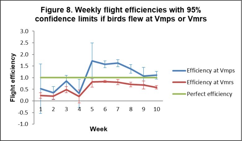 Flight efficiency of the birds each week if it is postulated that they fly at Vmps or Vmrs. Flight efficiency can be calculated as the ratio of the beeline distance/ total distance flown. Perfect flight efficiency, straight along a beeline, between release site and home loft is 1.0. Flight efficiency cannot be greater than 1.0.