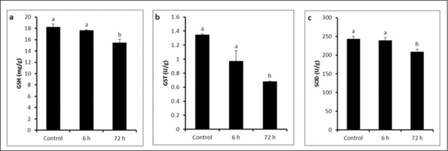 a) GSH concentration, b) GST activity and c) SOD activity in control and LPS-treated groups (4 mg/kg BW ip). Results are expressed as mean ± SEM. The different letters are statistically significant (P ≤ 0.05).