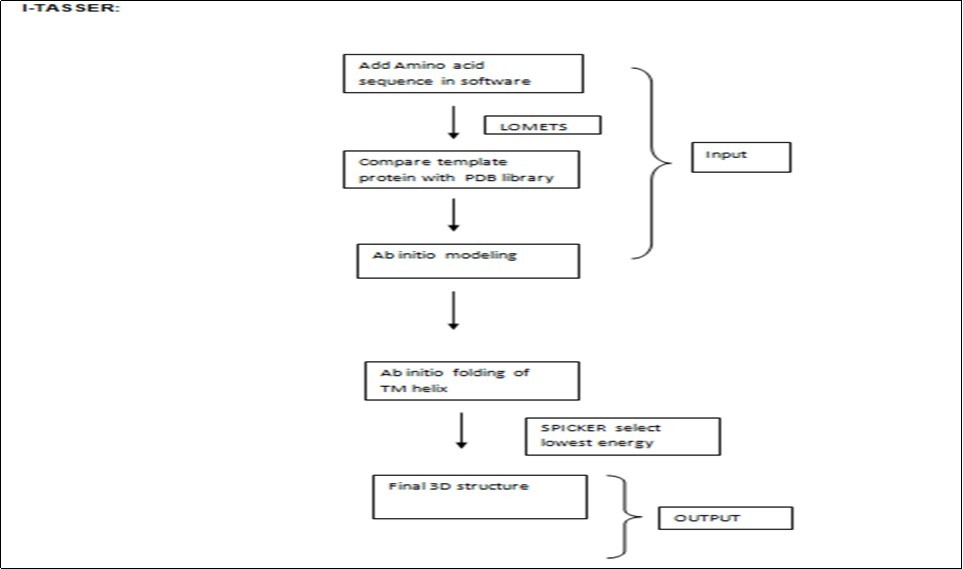 Shows input and output of I-TASSER