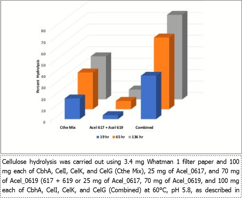 Hydrolysis of filter paper by Cthe, Acel, and the combination of cellulases.