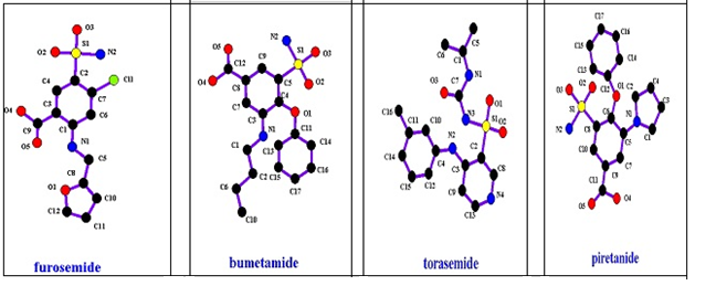 loop diuretics’ structures.