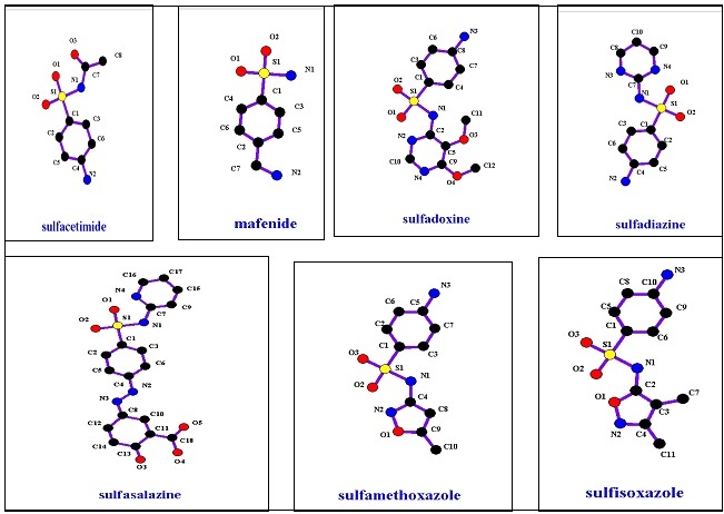 Anti-bacterial Sulfonamide members’ structures.