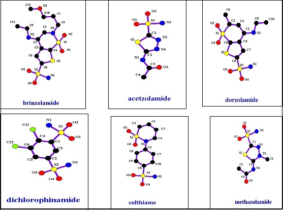 carbonic anhydrase inhibitors’ structures.