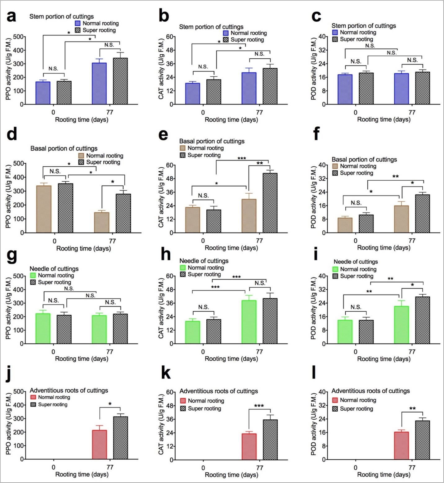 PPO, CAT, and POD activity in shoot cuttings of T. chinensis var. mairei at 0 and 77 days after planting. PPO (Figs. 3a, 3d, 3g, and 3j), CAT (Figs. 3b, 3e, 3h, and 3k), and POD activity (Figs. 3c, 3f, 3i, and 3l) in stem portion, basal portion, needles, and adventitious roots of rooted cuttings of T. chinensis var. mairei at 0 and 77 days after planting. Experiment was repeated five times. The statistically significant difference between groups was determined by one-way ANOVA. Data are presented as means of five independent experiments. Error bars represent standard error. The asterisk indicates significant differences compared to the rooted cuttings with low rate of root formation, as assessed by a t-test. *P<0.05, **P<0.01, ***P<0.001, significant relative to Phase I. N.S., no statistics significance. Vertical bars indicate standard error.