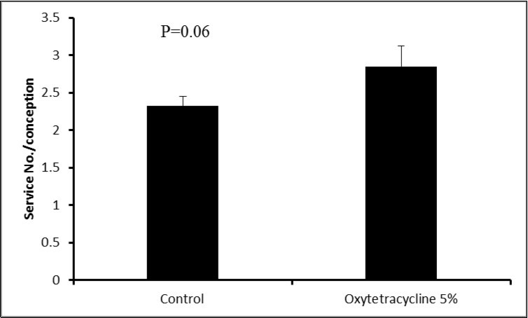 number of services per conception in cows with and without retained fetal membranes (P<0.05)