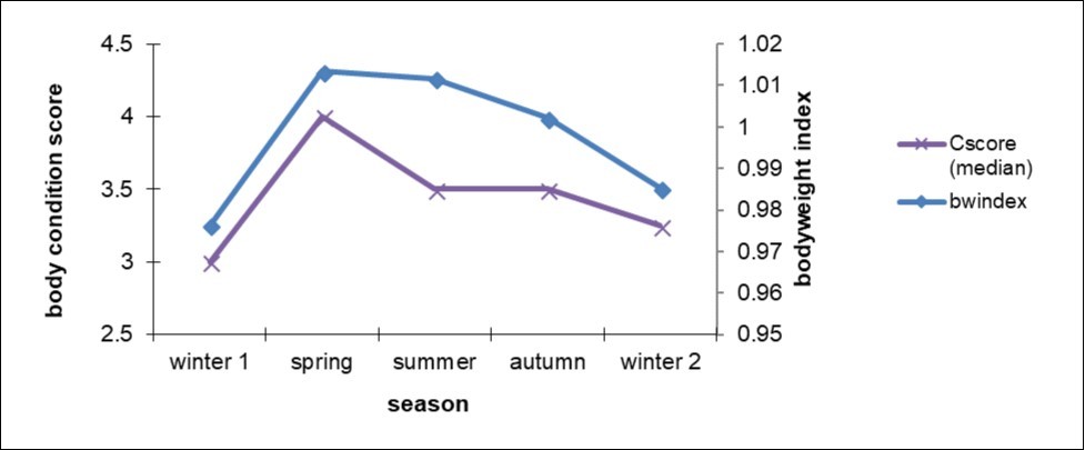 Seasonal variation in median body condition scores (cscore) and mean bodyweight indices (bwindex) on visit day for 48 Pony Club horses that were examined monthly for 10 to 13 consecutive months