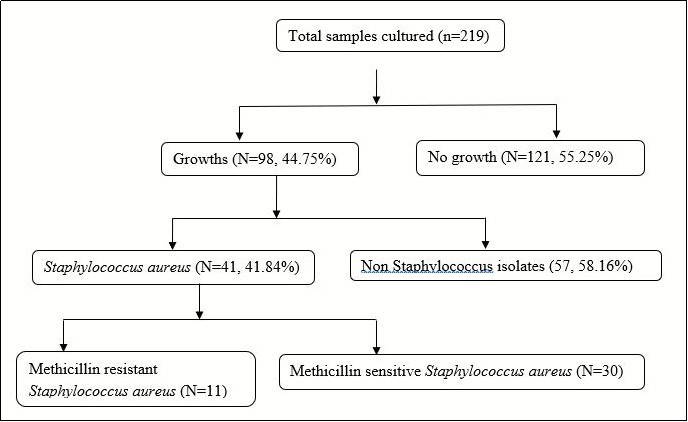 Microbiologic results