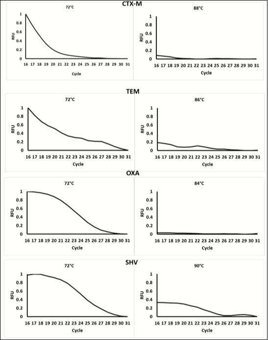 Data showing the change in fluorescence at cycle 16-31 (when florescence) at low temperature and at the meeting of each amplicon. Data was normalized to the highest relative fluorescent unit (RFU). At temperature below the Tm, fluorescence decreases as product Increases each cycle. This is due to the Incorporation of the Dabcyl-iso-dGTP quencher contained within the mastermix. At higher temperatures, fluorescence is very low as the majority of fluorescent reporters have been quenched. This change in fluorescence occurs at different temperatures for each amplicon, therefore, the different products can be distinguished based on temperature.