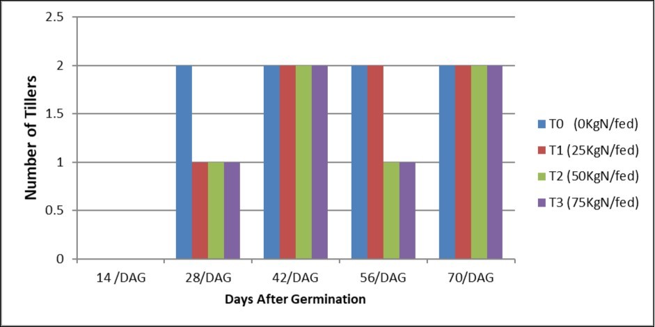 Effect of different Nitrogen levels on number of Tillers of Sorghum–Alkadaro-Sudan (2014).