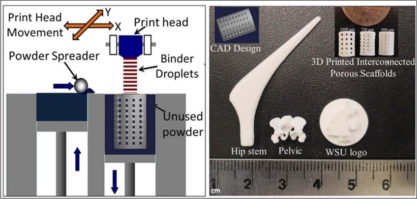 A schematic of 3D printing and some 3D printed parts (fabricated at Washington State University) showing the versatility of 3D printing technology for ceramic scaffolds fabrication with complex architectural features. Reprinted from Ref. 10 with permission.