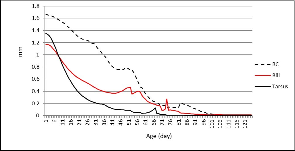 Daily gains of the tarsus, bill and BC.