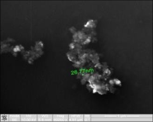 Study of magnetite nanoparticles with use microscope ion-electronic raster-type Quanta 200 3 D