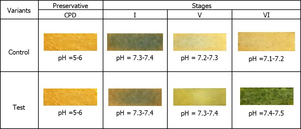 Dynamics of pH changes in the extracellular medium of RBCs storage at key stages of the study on the example of preserving agent CPD.