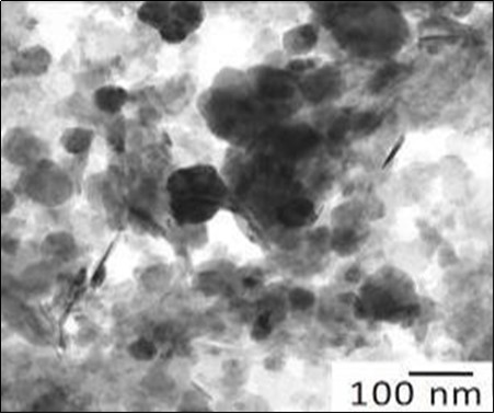 Study of magnetite nanoparticles with use microscope electronic translucent JEM-2100
