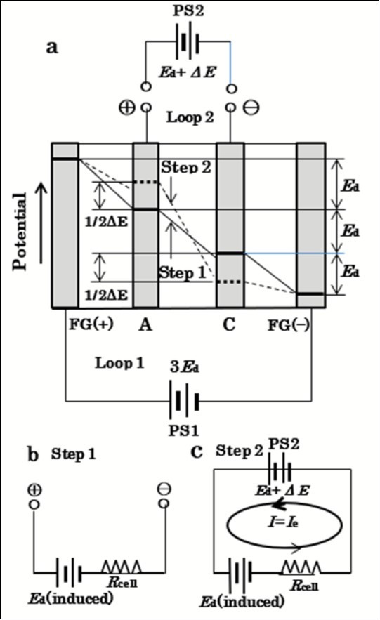 Principle of the ESI-PSE. a, behavior of the ESI-PSE system when undergoing electrolysis. FG: field generator; A: anode; C: cathode; Rcell: cell resistance. b, equivalent circuit for step 1. c, equivalent circuit for step 2.