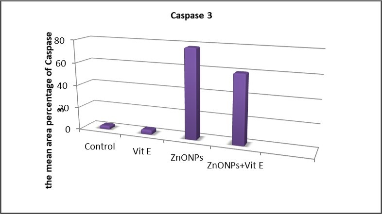 The mean area percentages of caspase 3 expression in the different studied groups.