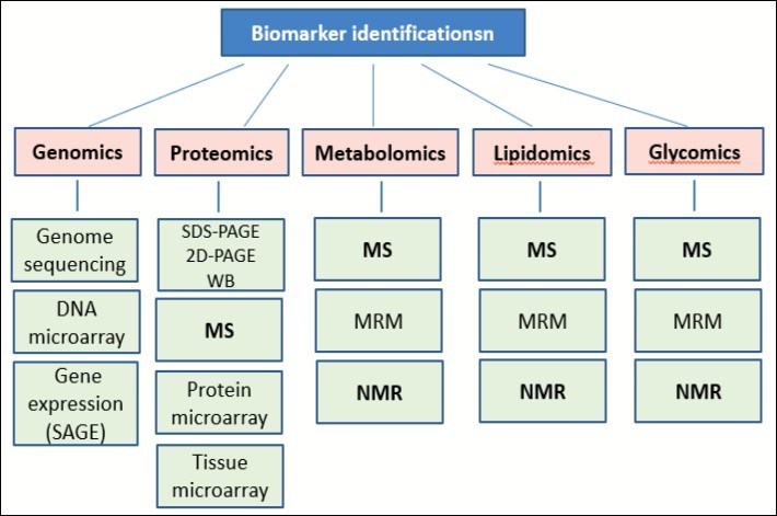 Biomarkers identification.MS, Mass Spectrometry (including LC-MS, SELDI-TOF, MALDI-TOF, etc.); NMR, Nuclear Magnetic Resonance spectroscopy; MRM, Multiple Reaction Monitoring; SAGE, Serial Analysis of Gene Expression; SDS-PAGE, Sodium Dodecyl Sulfate-Polyacrylamide Gel Electrophoresis; 2D-PAGE,2 Dimensional-Polyacrylamide Gel Electrophoresis; WB, Western blot.