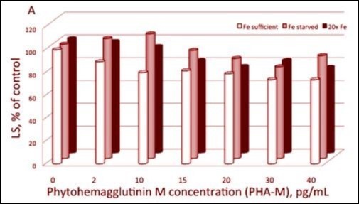 Light scattering of spheroplast vesicles as determined by basal LS in the absence (=100%) and in the presence of various concentrations of PHA-M. Spheroplasts and various quantities of PHA-M were suspended in a medium containing 25 mM HEPES (KOH), 10 mM NaCl, pH 7.5. Chlorophyll concentration was 6 μg mL-1. Relative LS of PHA pre-treated spheroplasts before light expose. Data are means of three independent measurements (9 measurements at given concentration of iron and PHA-M).