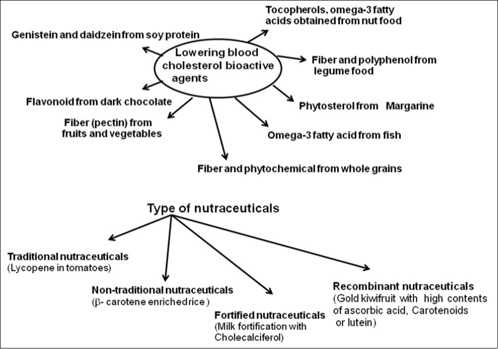 Bioactive components from different food sources help in lowing of blood cholesterol concentration 1314.