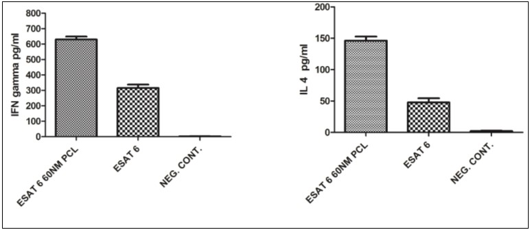 Cytokines secreted by CD4+ T cells in response to antigen presentation by monocyte derived macrophages. Data reveals the enhanced cytokine secretion by antigen loaded 60nm PCL NP compared to pure ESAT 6 antigen. A) IFN gamma secretion B) IL-4 secretion.