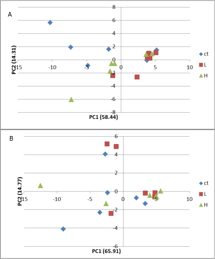 Principle component analyses (PCA) score plots of liver metabolites of carp at 24 h (A) and 96 h (B) after exposure to cypermethrin. The contribution percent of each component is presented along the x and y axis in relation to pc1 and pc 2 respectively. Ct: control group; L: low concentration; H: high concentration.