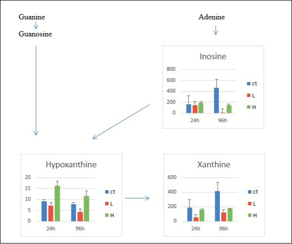 Disorder of nucleoside metabolism at 24 and 96 h of exposure for the control group (blue), L group (red), and H group (green) in liver of carp fish. The values on the y-axis were normalized, divided by fish weight, and multiplied by 105 (unit, mg−1). Results are represented as means ± SE