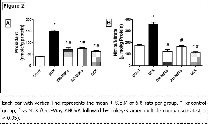 Effect of treatment with BM-MSCs or AD-MSCs on proxidant content (A) and nitrite/nitrate content (B) as compared with Dex in MTX-induced intestinal injury in rats.