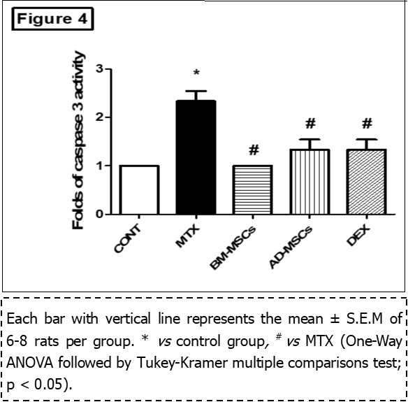 Effect of treatment with BM-MSCs or AD-MSCs on caspase-3 as compared with Dex in MTX-induced intestinal injury in rats.