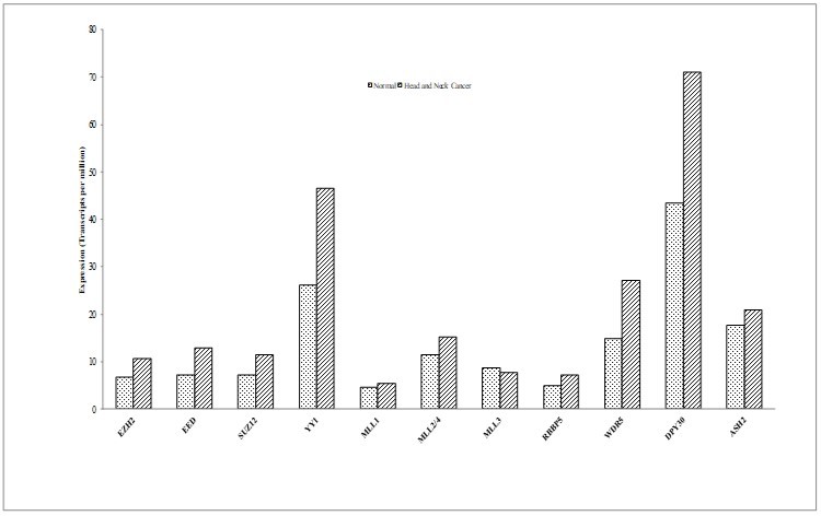 Comparison of expression (transcripts per million) for Polycomb and trithorax group members in normal versus the HNC samples. Analysed using the data from GEPIA