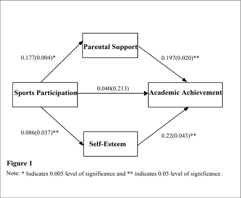 Path coefficients of hypothesized model