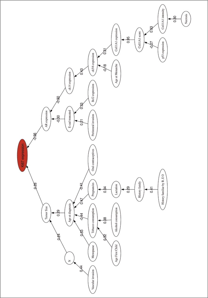 Histological Grade prediction. Correlation network among the most discriminatory prognostic variables.