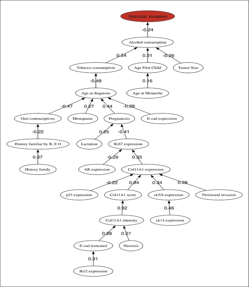 Lymph nodes metastasis prediction. Correlation network among the most discriminatory prognostic variables.